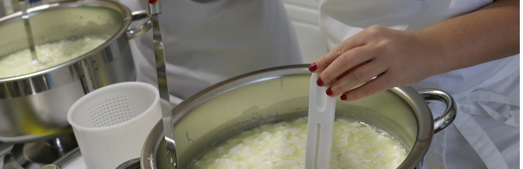 Käseschule vor Ort Lauben