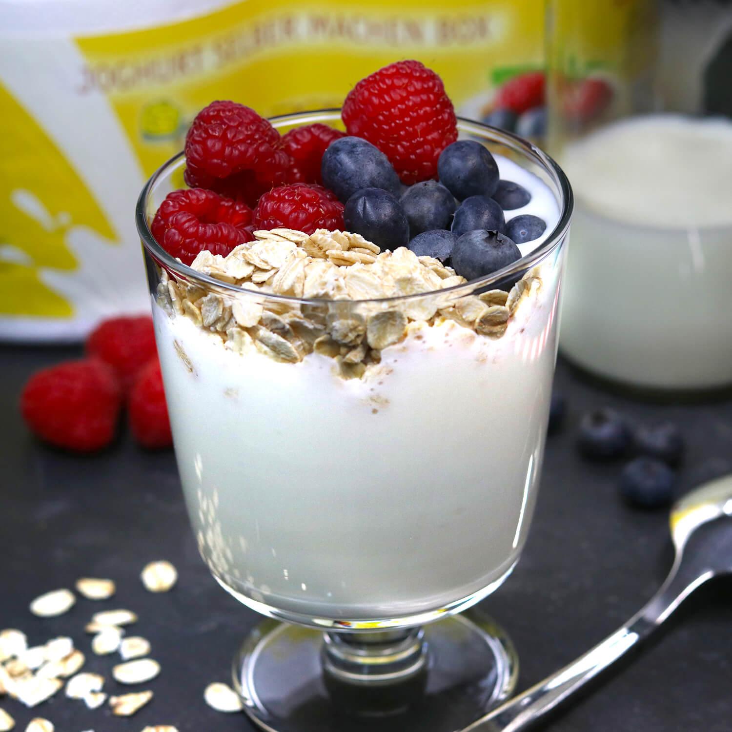 Sommer Genuss Bundle – Premium Käse Set + Joghurt Set + gratis KFB1 Kefirkultur 🧀☀️🥛